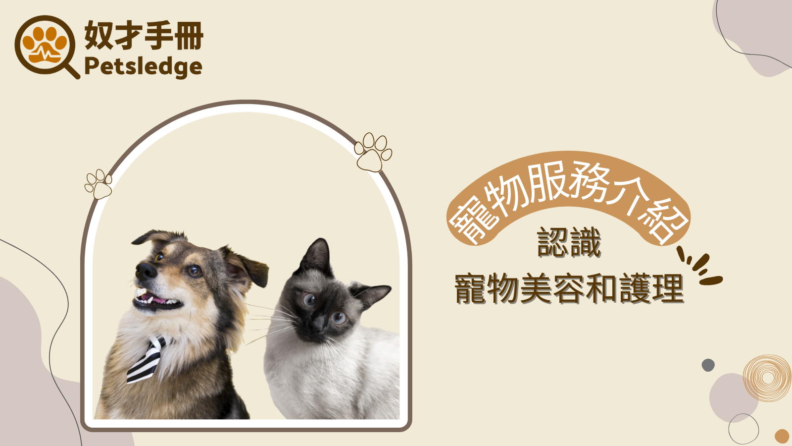寵物服務介紹：認識寵物美容和護理